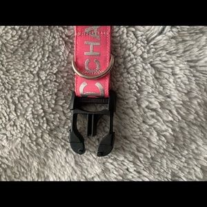 Pink dog collar.